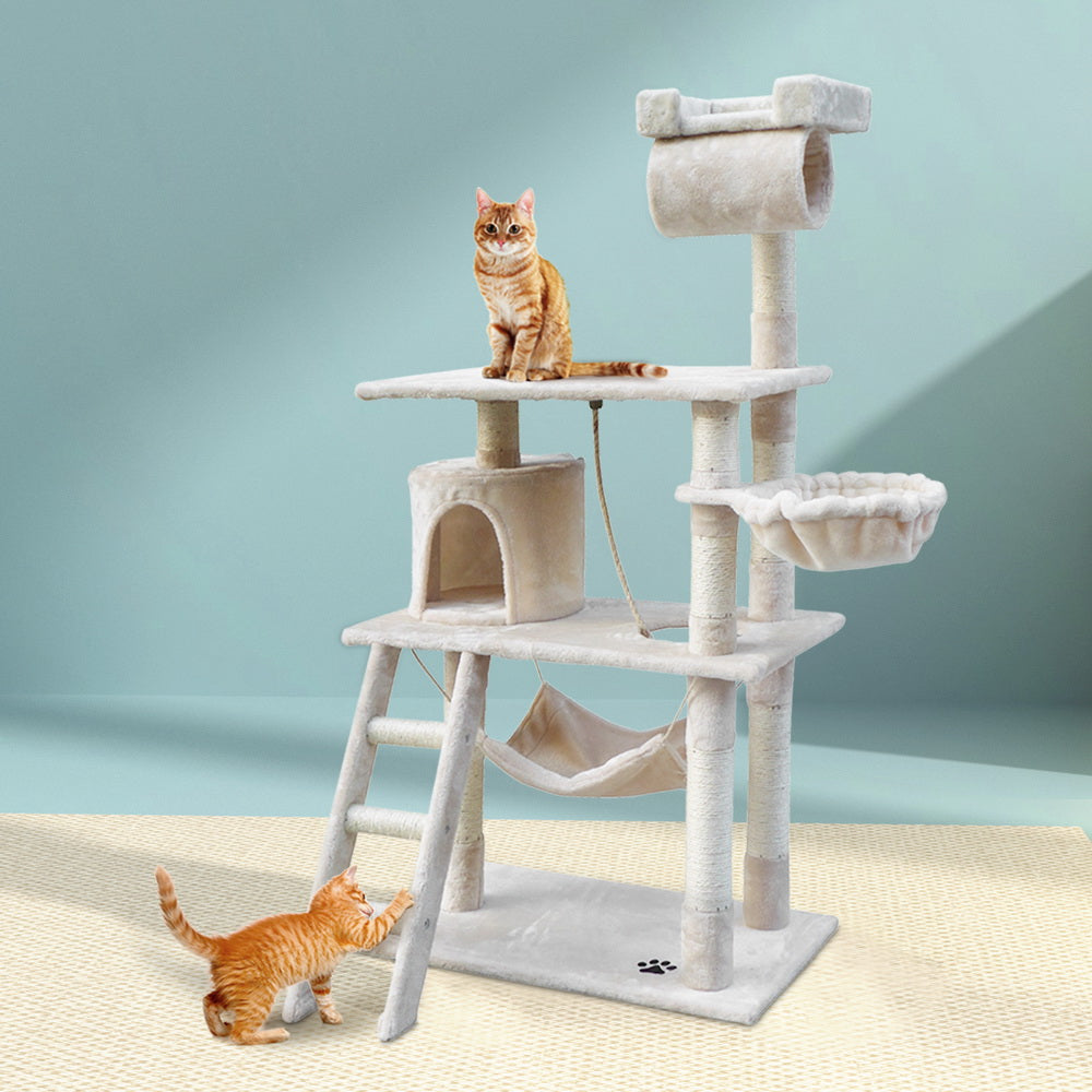 Cat Supplies