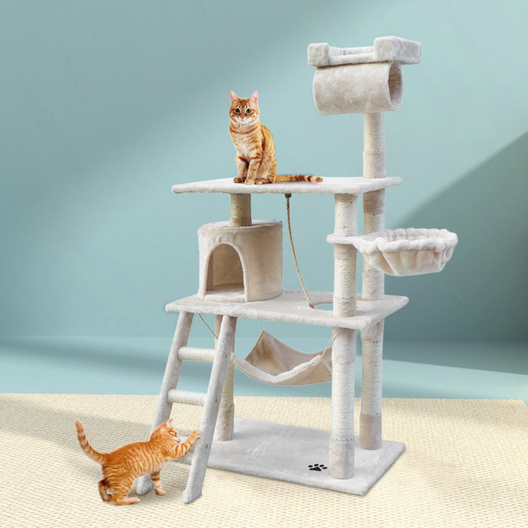 Cat Supplies