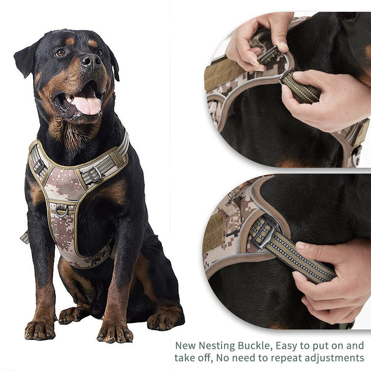 Dog Supplies