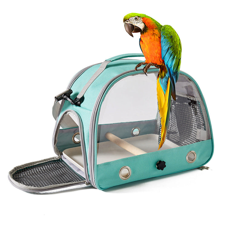 Bird